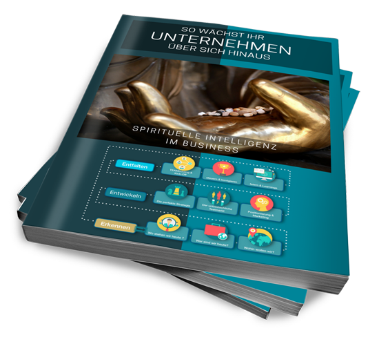 SPIRITUELLE INTELLIGENZ IM UNTERNEHMEN SPIRITUELLE INTELLIGENZ IM UNTERNEHMEN